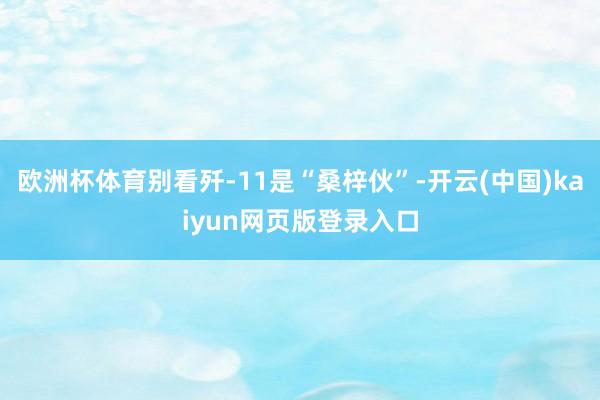 欧洲杯体育别看歼-11是“桑梓伙”-开云(中国)kaiyun网页版登录入口
